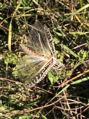 Triple Creek Nature Preserve