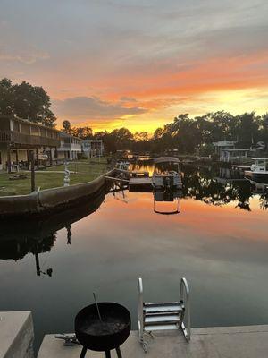 Off the dock, backyard