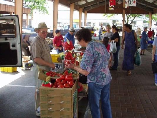 Pasco Farmers Market