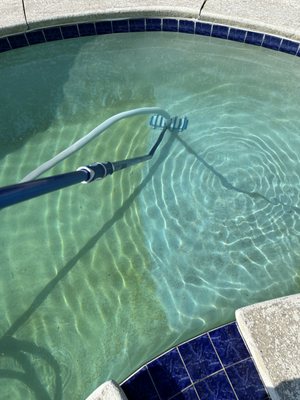 vacuuming dead algae from the bottom of the pool can be very tricky