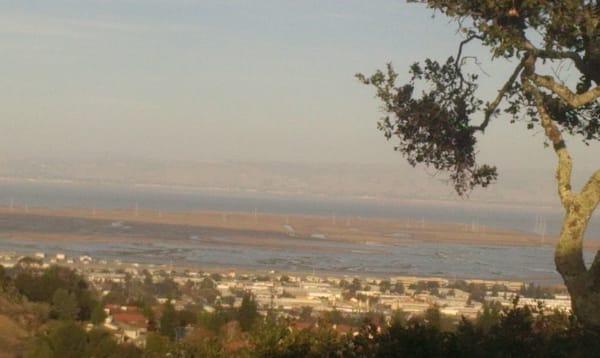 Bair Island, Redwood City at high tide viewed from San Carlos hills.