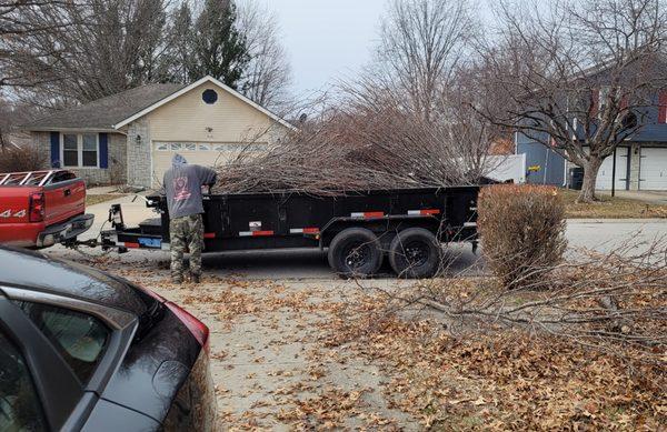 Clark Tree Service