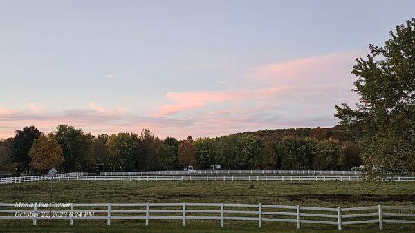 Horse in the middle of grounds