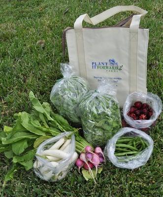 Share 3. Chinese eggplant, radishes, arugula, Malabar spinach, roselle buds, green beans, & a bag. Add roselle jam to smoothies.