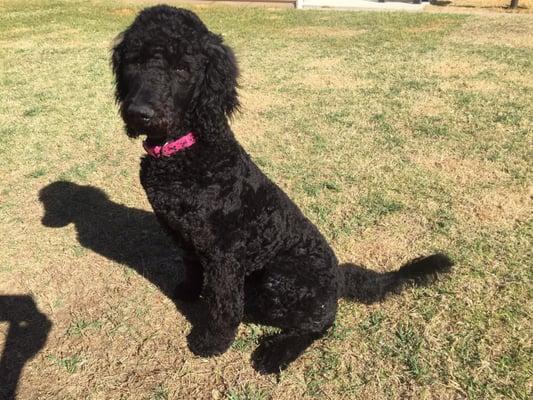 After her haircut, NOT at all 1 inch in length