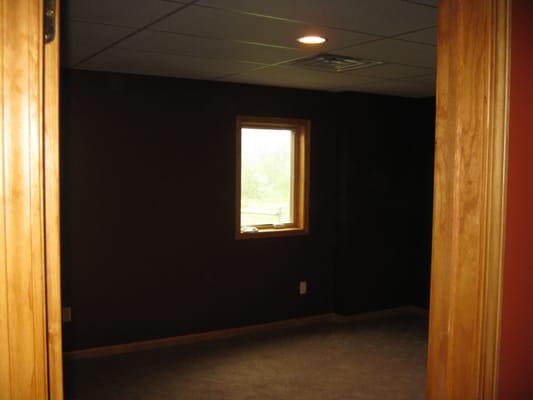 basement finish