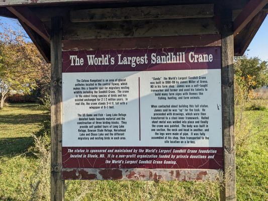 Sandy, the World's Largest Sandhill Crane