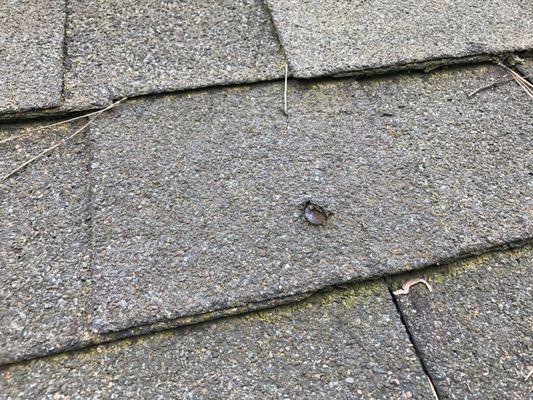 What typically happens when a non-professional attempts to correct a simple problem of a nail pop; the nail comes through the shingle.