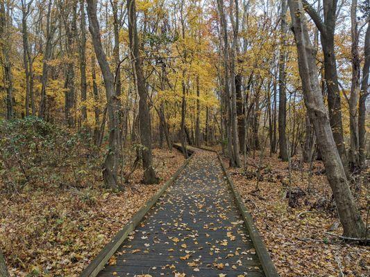 Beautiful boardwalk in late fall