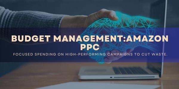 Join Amazon and "Maximize ROI, Minimize Spend: Master Amazon PPC Budget Management"