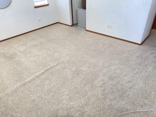 Carbonated Carpet Solutions