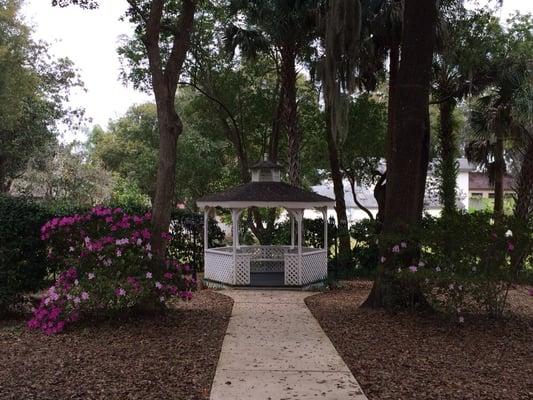 Backyard gazebo