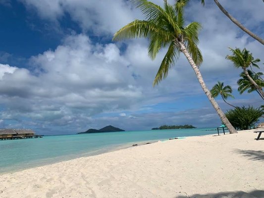 White sand beach in Bora Bora overlooking the shallow lagoon.