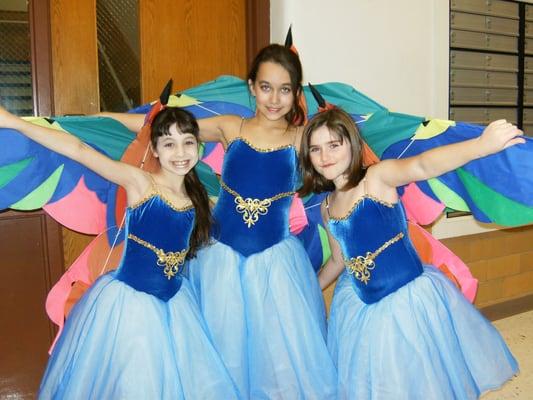 Dance Concert