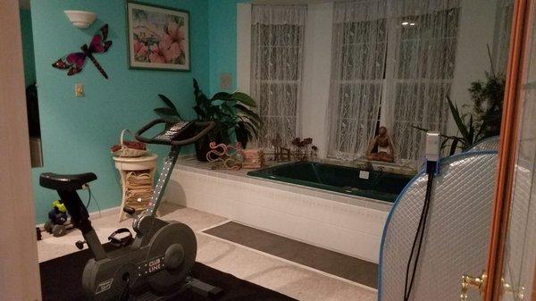 Hot Tub, Sauna, and Exercise Equipment