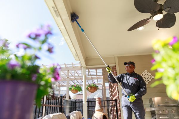 Ehrlich makes every effort to ensure our customers are 100% satisfied, this includes the removal of unsightly cobwebs.