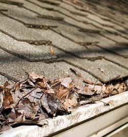 Roofs can be damaged by more than just wind or hail. When was the last time your roof was inspected for leaks or maintenance?