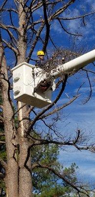 LDI Tree Service