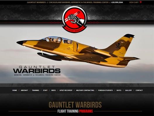 VisionFriendly.com Example: Gauntlet Warbirds