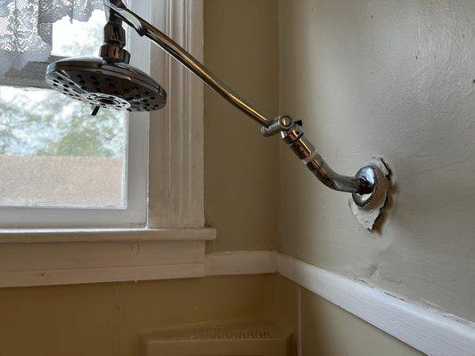 Moldy and broken shower head