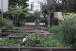 Wide variety of flowers and some nice trees. Park is not used by many people.