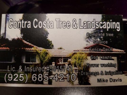 Contra Costa Tree