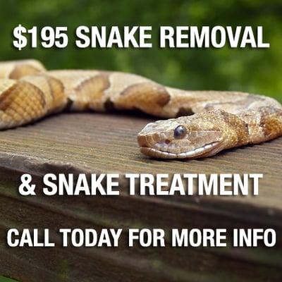 $195 Snake Removal & Snake Treatment Special - Call Today