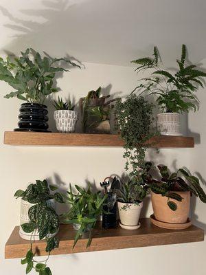 My plant shelf at home. Most of these plants are from here and as well as the cool pots on the top left and bottom right