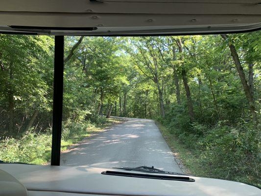 Road into campground