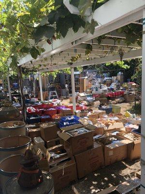 Ventura Hoarder Sale