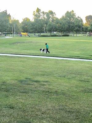 Corte Cabrera Park and a Young Man walking his dog.