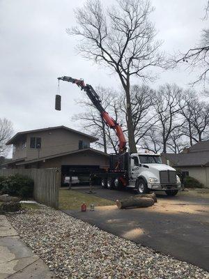 Removal of a hazardous tree next to the house, utilizing the crane for minimal impact.