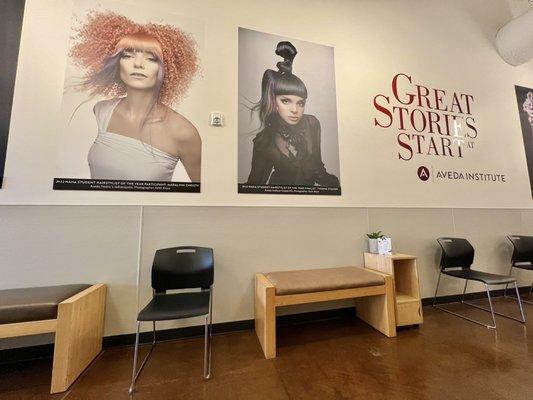 Aveda Fredric's Institute