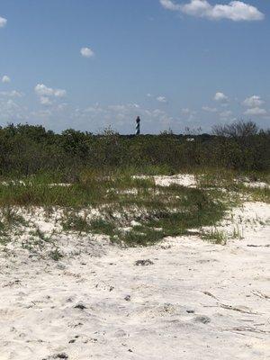 View of the Lighthouse at St. Augustine FL from the private beach recommended by Madeline at The Salty Paddle.