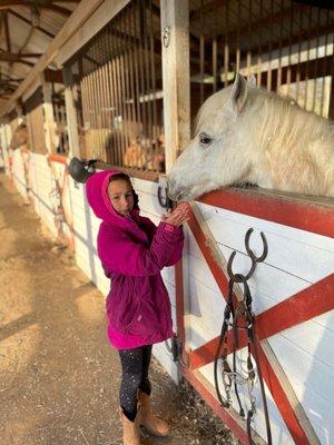 Her horse for the visit