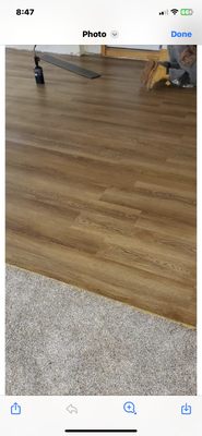 Vinyl Plank Floors