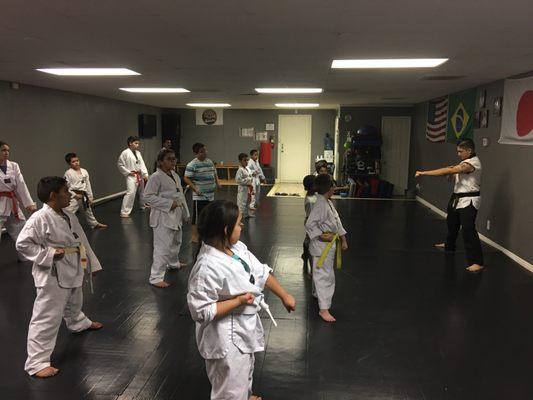 Kids Tae Kwon Do class.