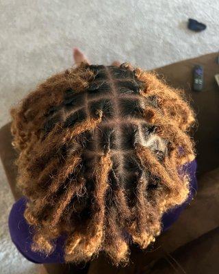 Loc Retwist