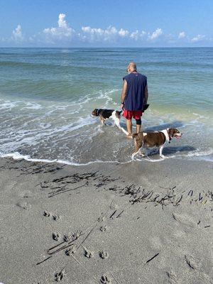 First time at a dog beach and the dogs loved it. It was not crowded, and very clean. What a great experience for our dogs.