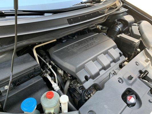 very clean engine compartment, compliments of Holly Springs Japanese Automotive.