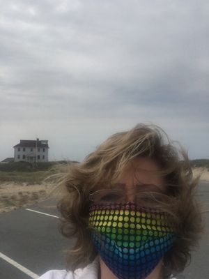 Windy beach on Cape Cod