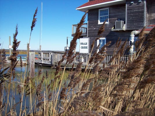 Side view of Whale Creek marina.