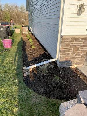 Edging/ new plants