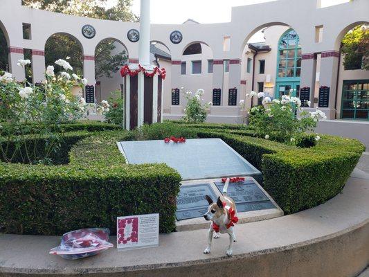 Poppy Dog at Attention at MV Memorial