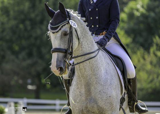 Tiffany Beck Dressage