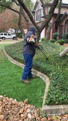 MLS Landscaping Services