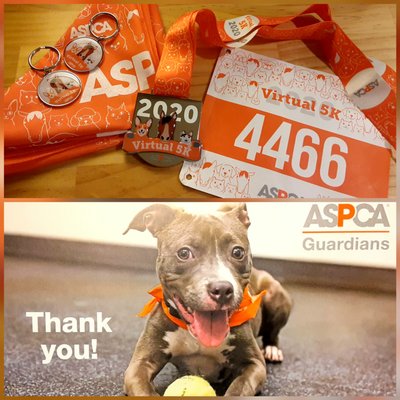 2020 ASPCA Virtual 5K medal, bib, round medals and pet scarves. aspca.org