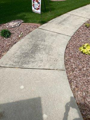 Dirty Walkway prior to our surface cleaning.