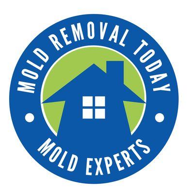 Mold Removal Today