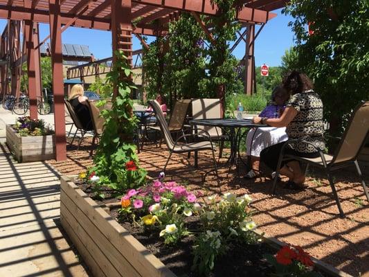 Our beautiful outdoor pergola.